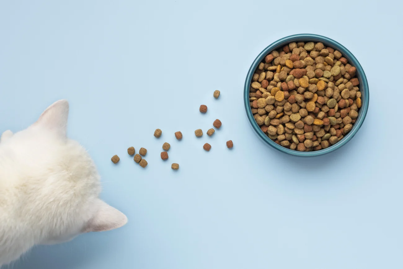 Grain-Free Cat Food: The Best Choice For Your Cat?