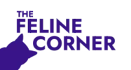 The Feline Corner