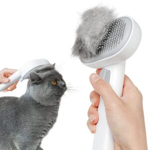 natural flea remedies for cats
