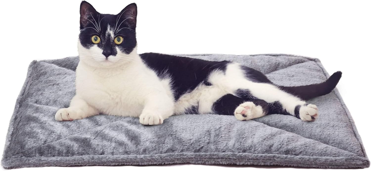 best heated cat beds smart heating