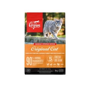 best-high-protein-cat-foods