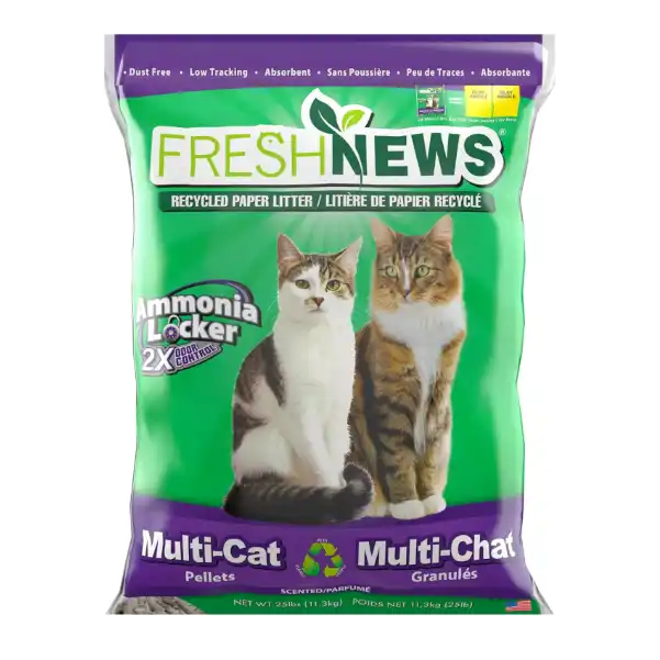 Best Eco-Friendly Cat Litters for Sensitive Cats - fresh news Best Eco-Friendly Cat Litters for Sensitive Cats - fresh news