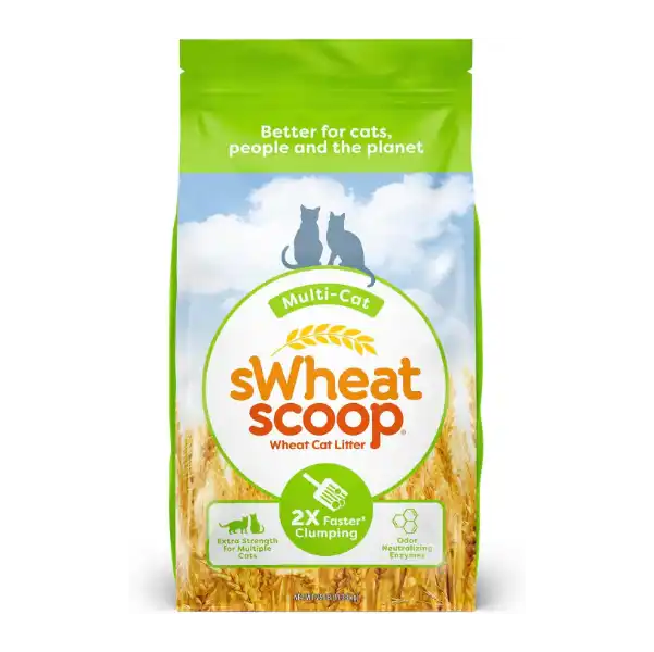 Best Eco-Friendly Cat Litters for Sensitive Cats - swheat scoop