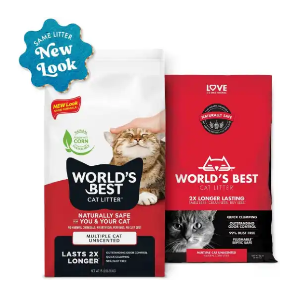 Best Eco-Friendly Cat Litters for Sensitive Cats - world's best Best Eco-Friendly Cat Litters for Sensitive Cats - world's best