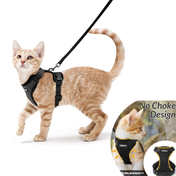 Rabbitgoo How to Leash Train a Cat Rabbitgoo How to Leash Train a Cat