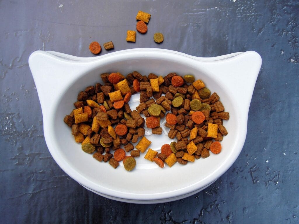 grain-free cat food vs grain-inclusive