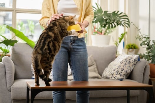 pexels-photo-16597609-16597609 grain-free diets